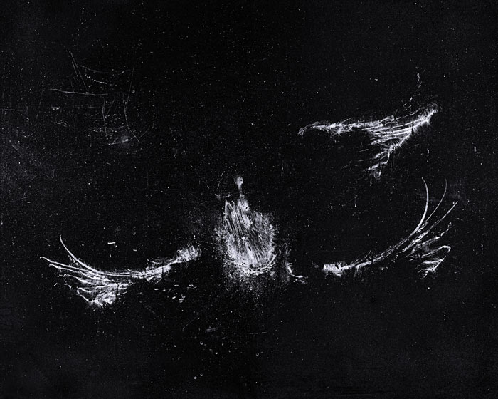 Stardust