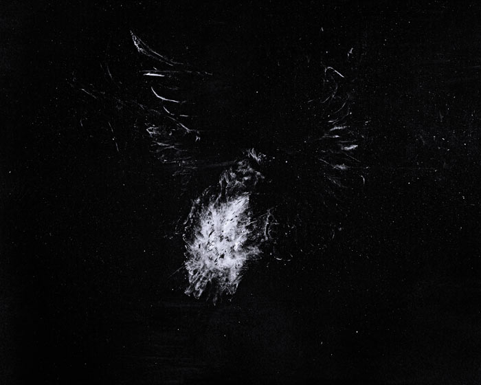 Stardust